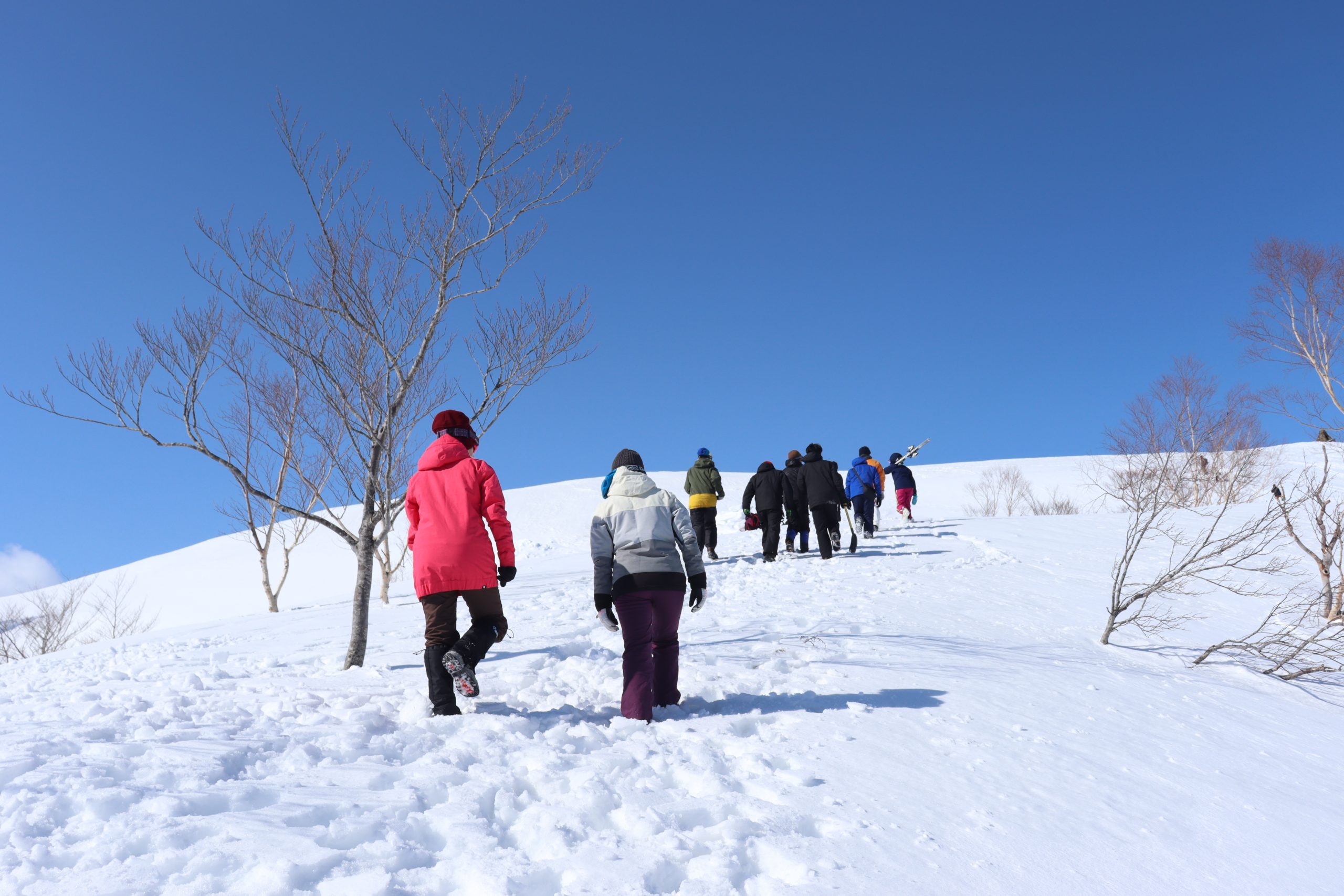 山岳部